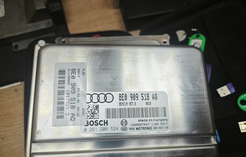 Audi A4 ME7.5 1.8t 0261208524 1037372505 8E0909518AQ_0010 E2 EGR SAP EVAP OFF
